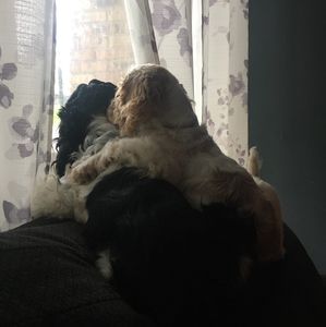 Meet your Posher, Jaime